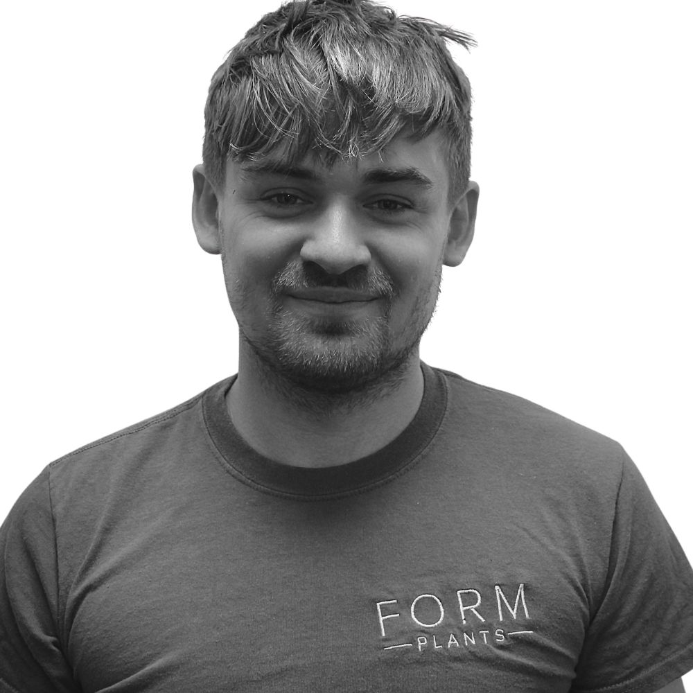 Sam profile picture